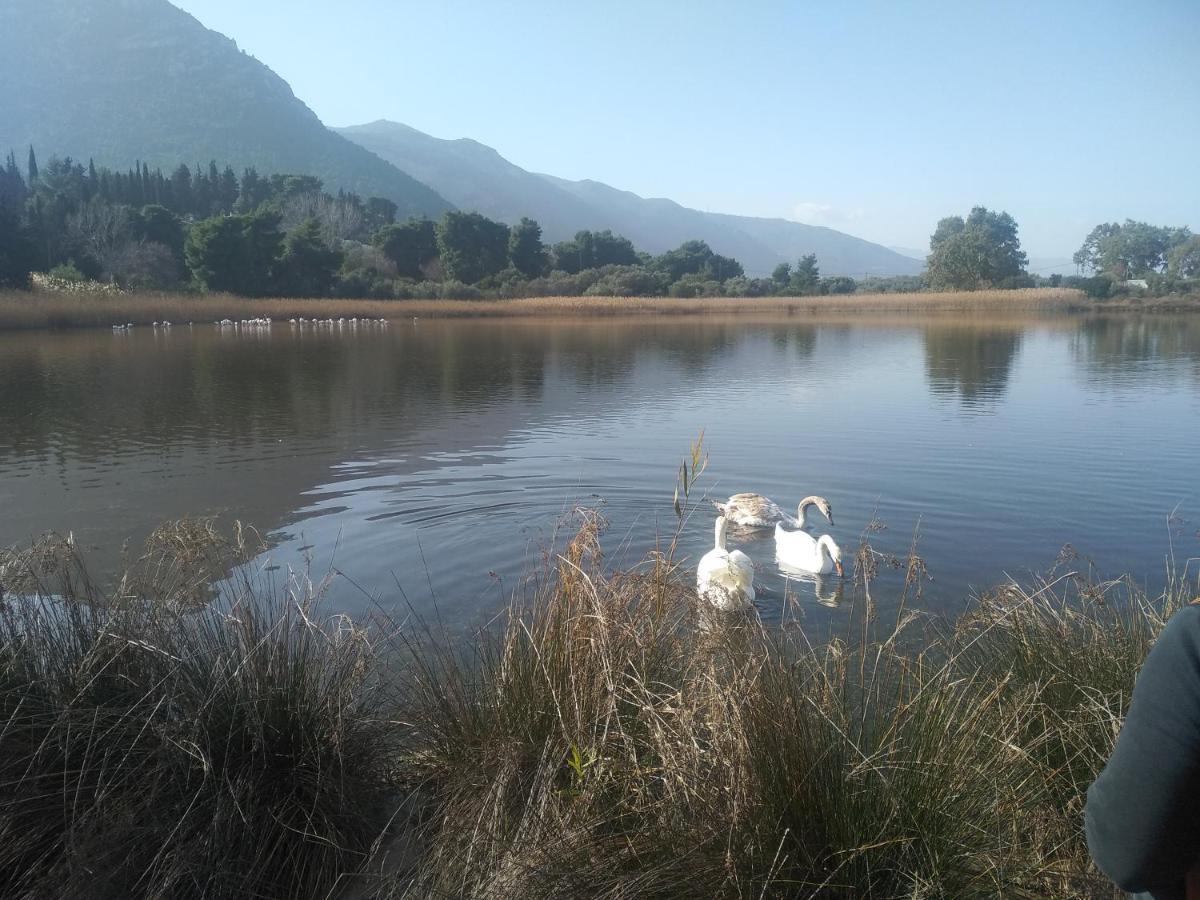 Mare E Monti1 Daire Kamena Vourla Dış mekan fotoğraf